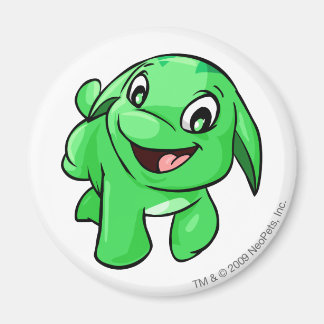 Aimant Poogle vert