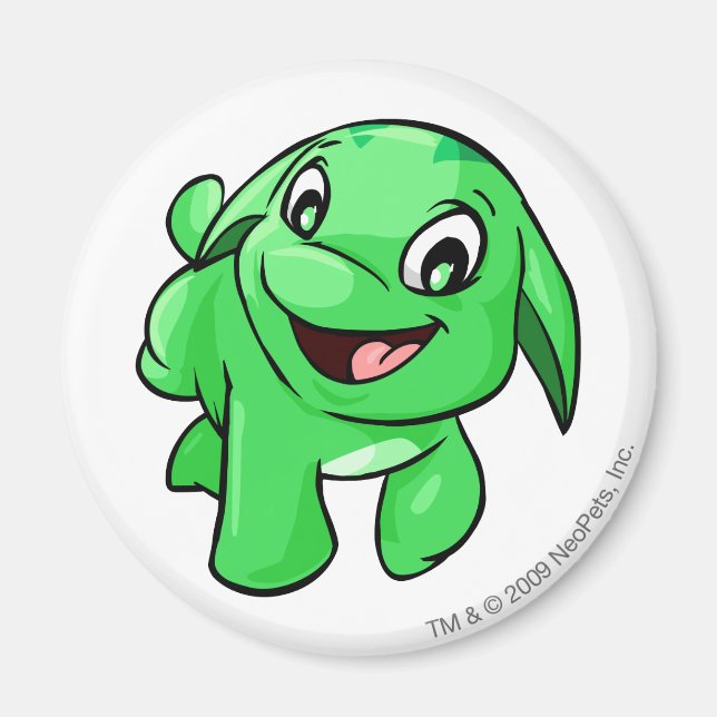 Aimant Poogle vert (Devant)