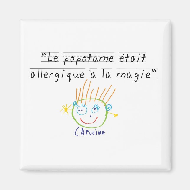 Aimant Popotame (Devant)