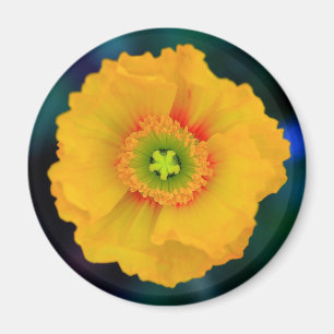 Aimant Poppy islandais
