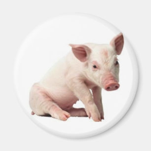Aimant porc