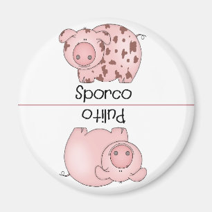 Aimant Porc sale propre italien d'aimant de