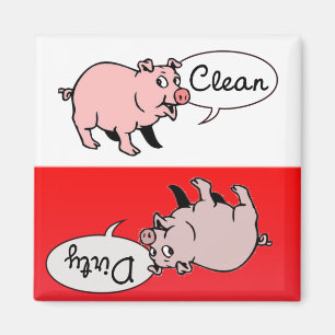 Aimant Porcs blancs et rouges