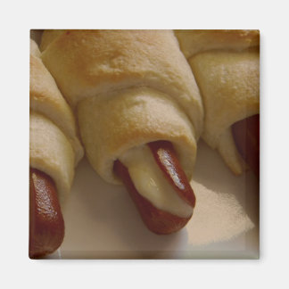 Aimant Porcs dans une couverture avec fromage