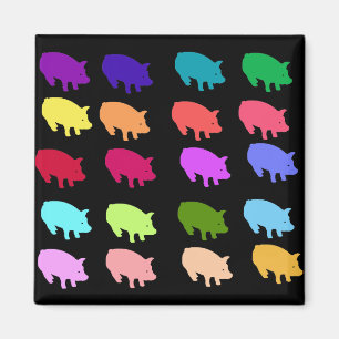 Aimant Porcs d'arc-en-ciel