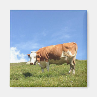 Aimant Portier de Fernerblick