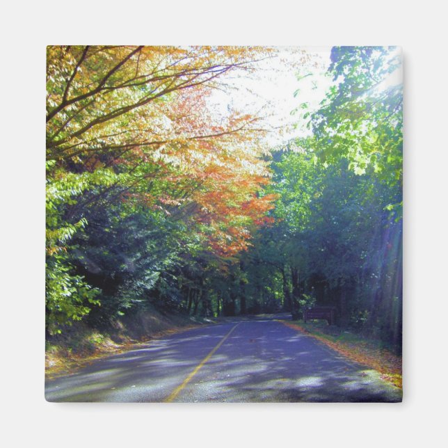 Aimant Portland, Oregon Road to the Rose Garden (Devant)