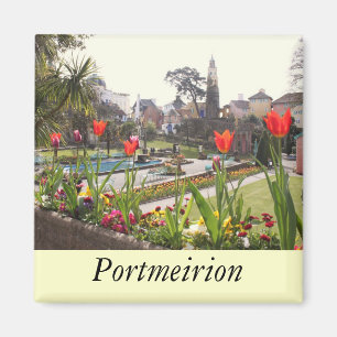 Aimant Portmeirion