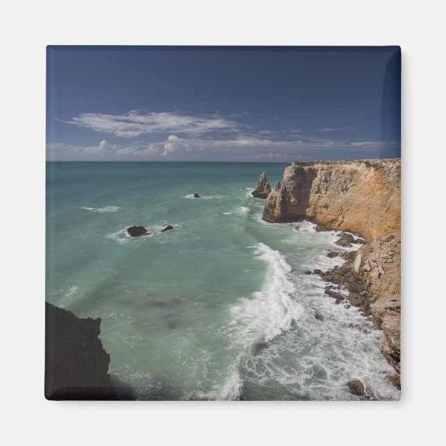 Aimant Porto Rico, côte ouest, Cabo Rojo, littoral 2 (Devant)