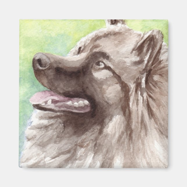 Aimant Portrait aquarelle de Keeshond (Devant)