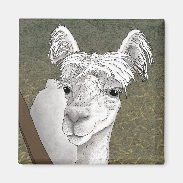 Aimant Portrait d'alpaca 2 (Devant)