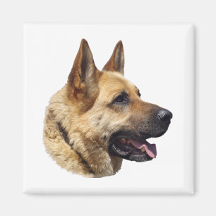 Aimant Portrait d'Alsatian German shepherd