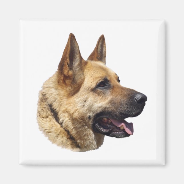 Aimant Portrait d'Alsatian German shepherd (Devant)