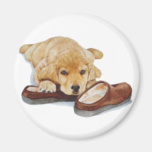 Aimant portrait d'animal familier peignant le chiot d'or