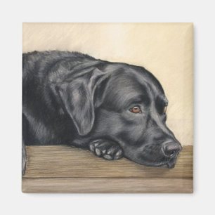 Aimant Portrait de Black Labrador
