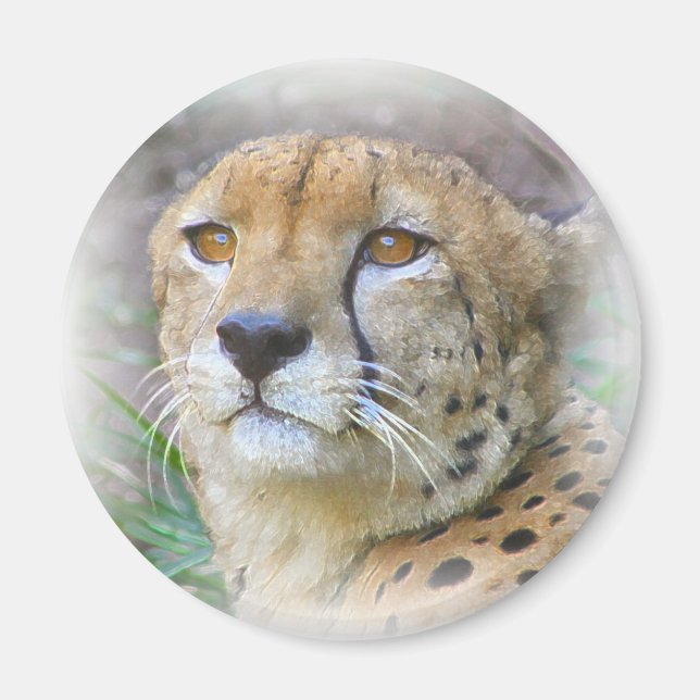 Aimant Portrait de Cheetah (Devant)