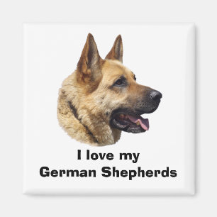 Aimant Portrait de chien berger allemand alsacien