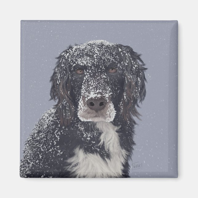 Aimant Portrait de chien croisé Spaniel  (Devant)