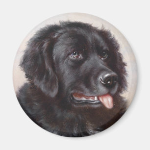 Aimant Portrait de chien de Terre-Neuve
