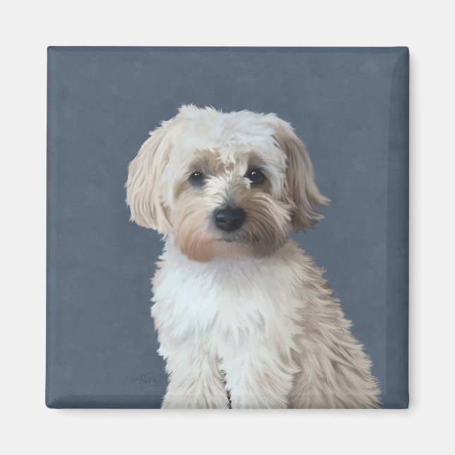 Aimant Portrait de chien Shorkie  (Devant)