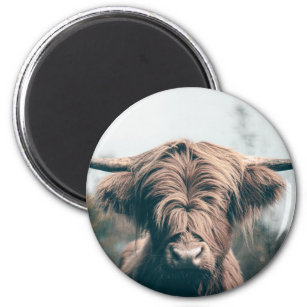 Aimant Portrait de vache Highland