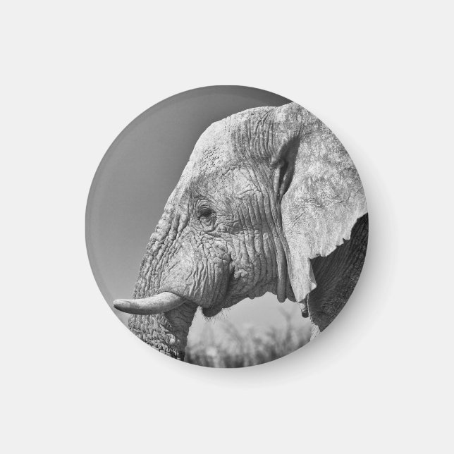 Aimant Portrait d'éléphant (Devant)
