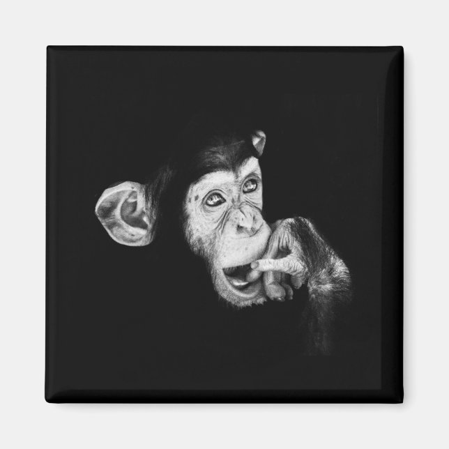 Aimant Portrait d'un penseur Chimpanzé (Devant)