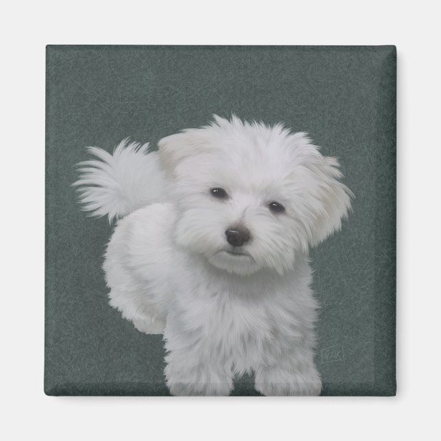 Aimant Portrait d'un petit chien blanc (Devant)
