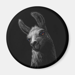 Aimant Portrait Head Cute Llama avec un Arrière - plan no