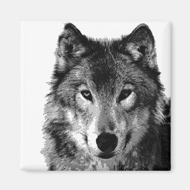 Aimant Portrait noir et blanc Wolf (Devant)