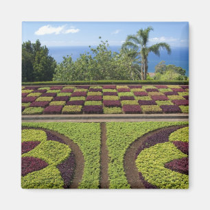 Aimant Portugal, île de Madère, Funchal. Botanique