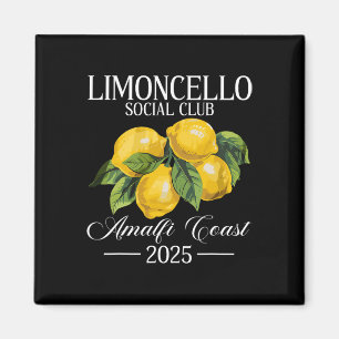 Aimant Positano Italie Vacances Limoncello Côte Amalfitai
