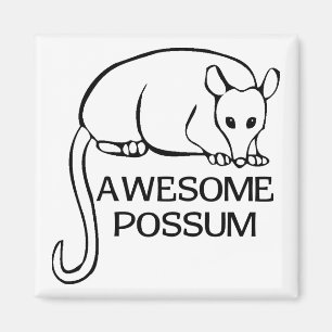 Aimant Possum génial