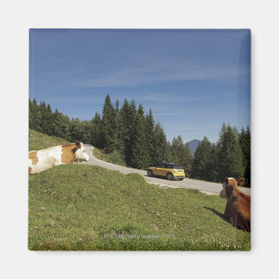 Aimant postalm road, weissenbachtal,