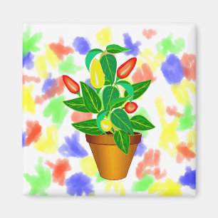Aimant Pot avec le plante rouge et jaune de poivre