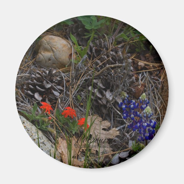 Aimant Potpourri (Devant)