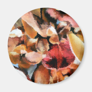 AIMANT POTPOURRI