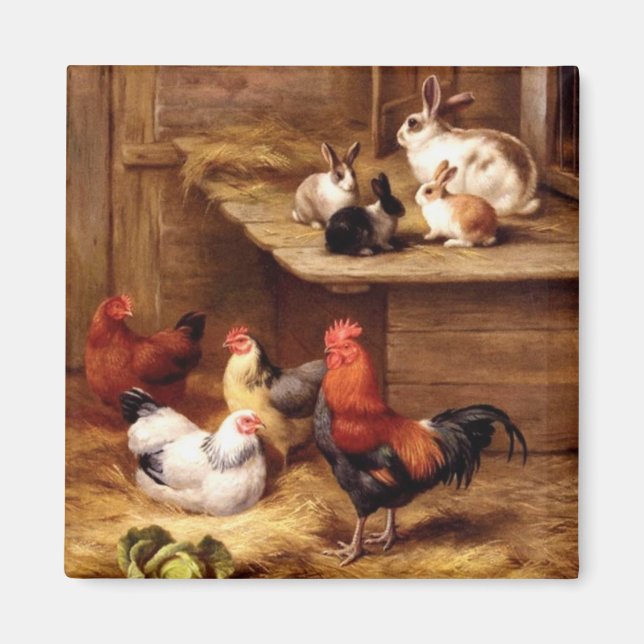 Aimant Poules de coq lapin animaux de ferme lapins (Devant)
