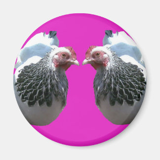 AIMANT POULET DUO SUR MAGENTA