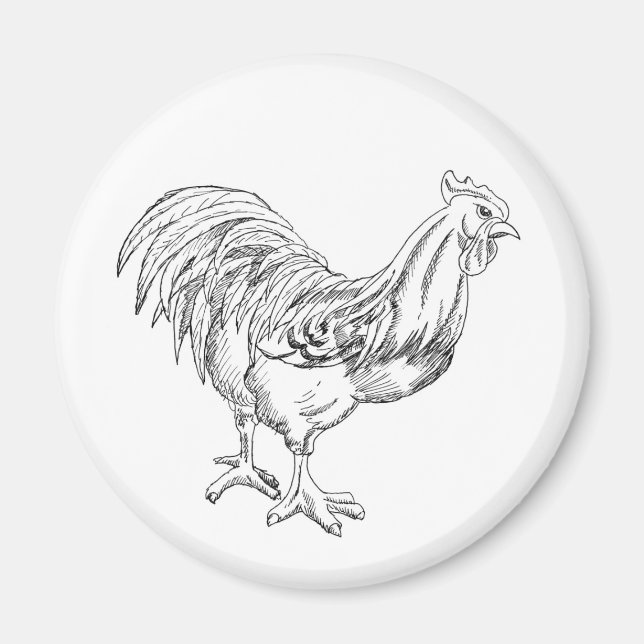 Aimant Poulet en stylo et encre (Devant)