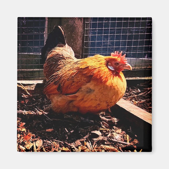 Aimant Poulet orange (Devant)