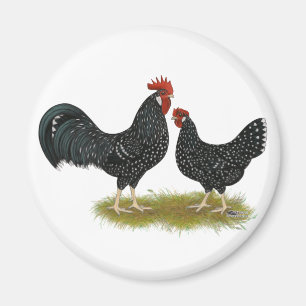 Aimant Poulets d'Ancône