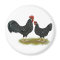 Poulets d'Ancône