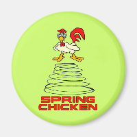 Poulets de printemps