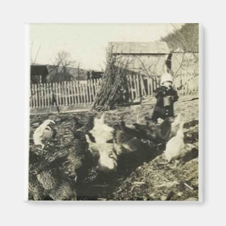 Aimant Poulets nourrissants adorables