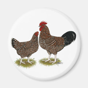 Aimant Poulets Sussex Speckés
