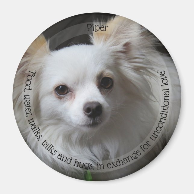 Aimant pour animaux de compagnie HAMbyWG (Devant)