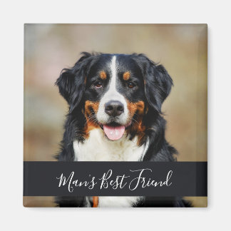 Aimant pour chien avec photo personnalisée