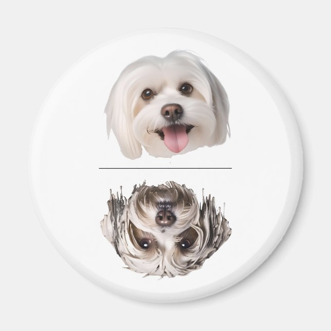 Aimant pour chien maltais charmant lave-vaisselle  (Devant)
