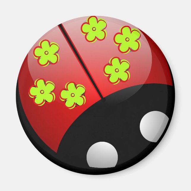 Aimant pour fille pou bug (Devant)